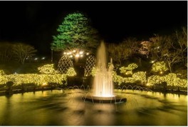箱根強羅公園 スプリングナイトガーデン 2020~Happy Spring Birthday!!!~