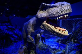 恐竜サファリエリアで出合えるティラノサウルスのロボット