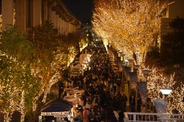 サンサンロードの並木道を彩るイルミネーション ※画像はイメージ