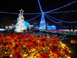 SAKUBLOOMイルミネーション2019 The way to the Future(ザ ウェイ トゥ ザ フューチャー)~未来への旅~