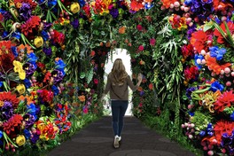 アーティフィシャルフラワーを使い、巨大なアートとして昇華させた作品「Blossom Garden～植物彫刻～」
