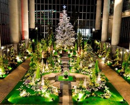 クリスマスフラワーショー2018~北欧のクリスマス スウェディッシュクリスマス