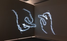 所蔵作品展 徳島のコレクション 2020年度第1期 特集「新収蔵作品を中心に」