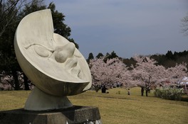 敷地内には桜のほか、岡本太郎やイサム・ノグチなどのアート作品も