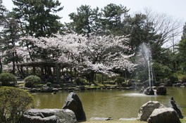 日本の都市公園100選に選ばれている