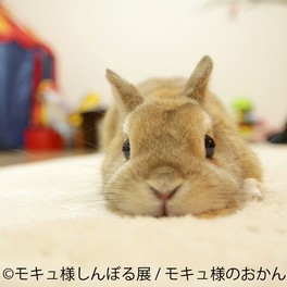 うさぎしんぼる展スピンオフ企画「モキュ様しんぼる展 in 東京」