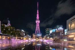 展望台に広がる名古屋の夜景に桜のプロジェクションマッピングが咲いていく