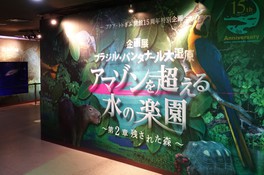 企画展「アマゾンを超える水の楽園 ブラジル・パンタナール大湿原 ~第2章 残された森~」