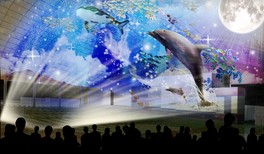ウインターイルミネーション10周年特別企画 劇場型プロジェクションマッピング