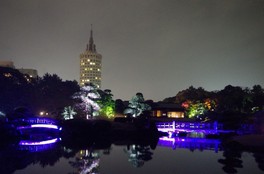 県立幕張海浜公園 見浜園灯ろうまつり~秋の庭園ライトアップ2019~
