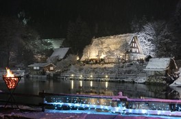 イルミネーションが幻想的な世界をつくり出す