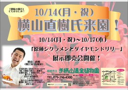 姫路市立手柄山温室植物園 横山直樹・原種シクラメンとダイヤモンドリリー展示即売会