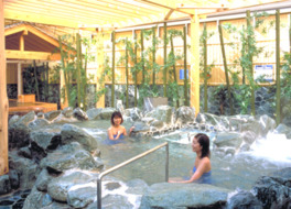 さくらの湯の露天エリアでは岩風呂のほかに2種類のひのき風呂を用意