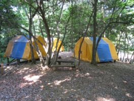 のどかな林間にあるキャンプ場