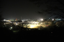 シンボルタワーからは芝生広場の桜のライトアップを背景に矢板市街地の夜景を望む