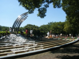 夏場は水遊びができる水の広場