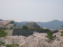 城の内外およそ1000本の桜が華やかに彩る