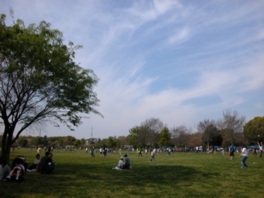 ピクニックに最適な広々とした芝生広場
