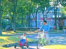 親子でゴーカートや自転車に乗りながら交通ルールを学べる