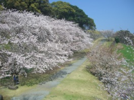 春には桜の名所としても人気のスポット
