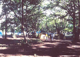 豊かな自然の中に位置するキャンプサイト
