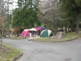 キャンプ場はアスレチック広場と隣接している