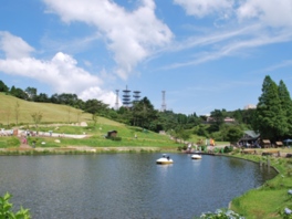 自然に囲まれたバーベキュー場