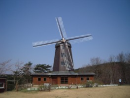 園内の美しいオランダ風車
