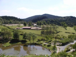 三瀬ルベール牧場 どんぐり村