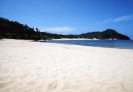 白い砂浜と雄大な緑に癒されるビーチ