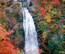 流れ落ちる滝と紅く染まった紅葉の見事なコントラストが楽しめる