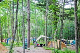 自然を満喫できる林間のキャンプフィールド