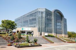熱帯の動植物を間近に見られる熱帯生態園