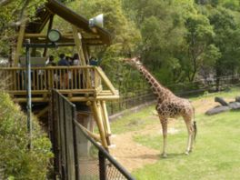 高知県立のいち動物公園