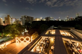 THE ROOF 2017