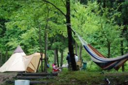 静かな森の中、清流近くにあるキャンプ場