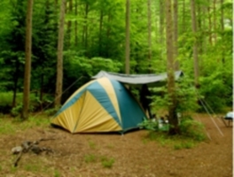 林間のキャンプ場は夏でも涼しく快適に過ごせる