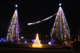 クリスマスツリーと街路樹のライトアップ(フェスティビタス ナタリス2019)