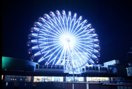 札幌の夜を照らす観覧車