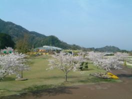 桜の木も多く春には花見客でにぎわう