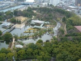 名古屋市内随一の規模を誇る池泉回遊式日本庭園