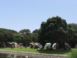 緑広がるキャンプサイト