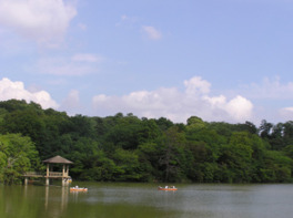 園内の琵琶ヶ池ではボートに乗ることができる