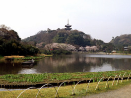 外苑の風景