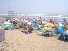 広大な砂浜の上でテントを広げて過ごすことができる