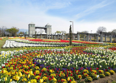 四季折々の花が咲き誇る大花壇