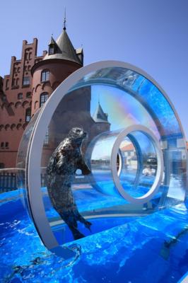 城の中が水族館