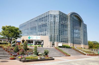 熱帯の動植物を間近に見られる熱帯生態園