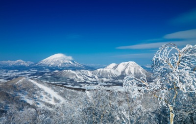 北海道内最大のスケールを誇る全3山37コース