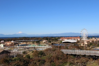 空気の澄んだ日は富士山の絶景が楽しめる